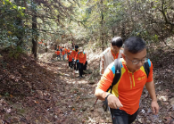 屏幕截图 2024-07-16 151011.png